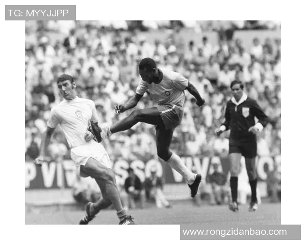 足球传奇贝利的生平与成就全景展示